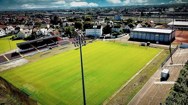 现充满期待 现充满期待