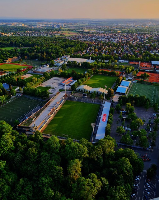 迷的关注 迷的关注