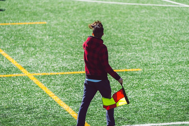 莫兰特在投 莫兰特在投