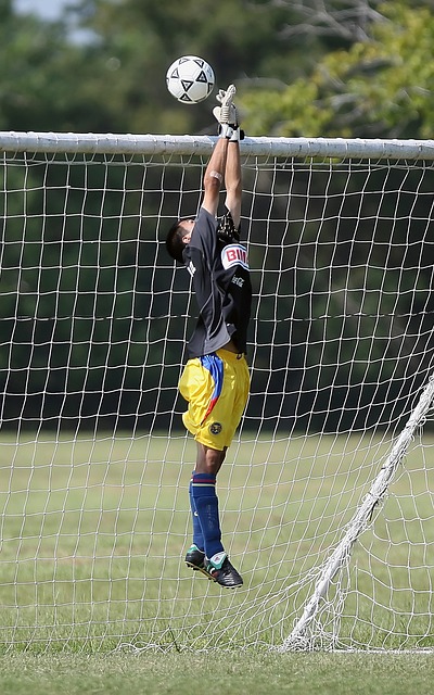 于球队发展 于球队发展